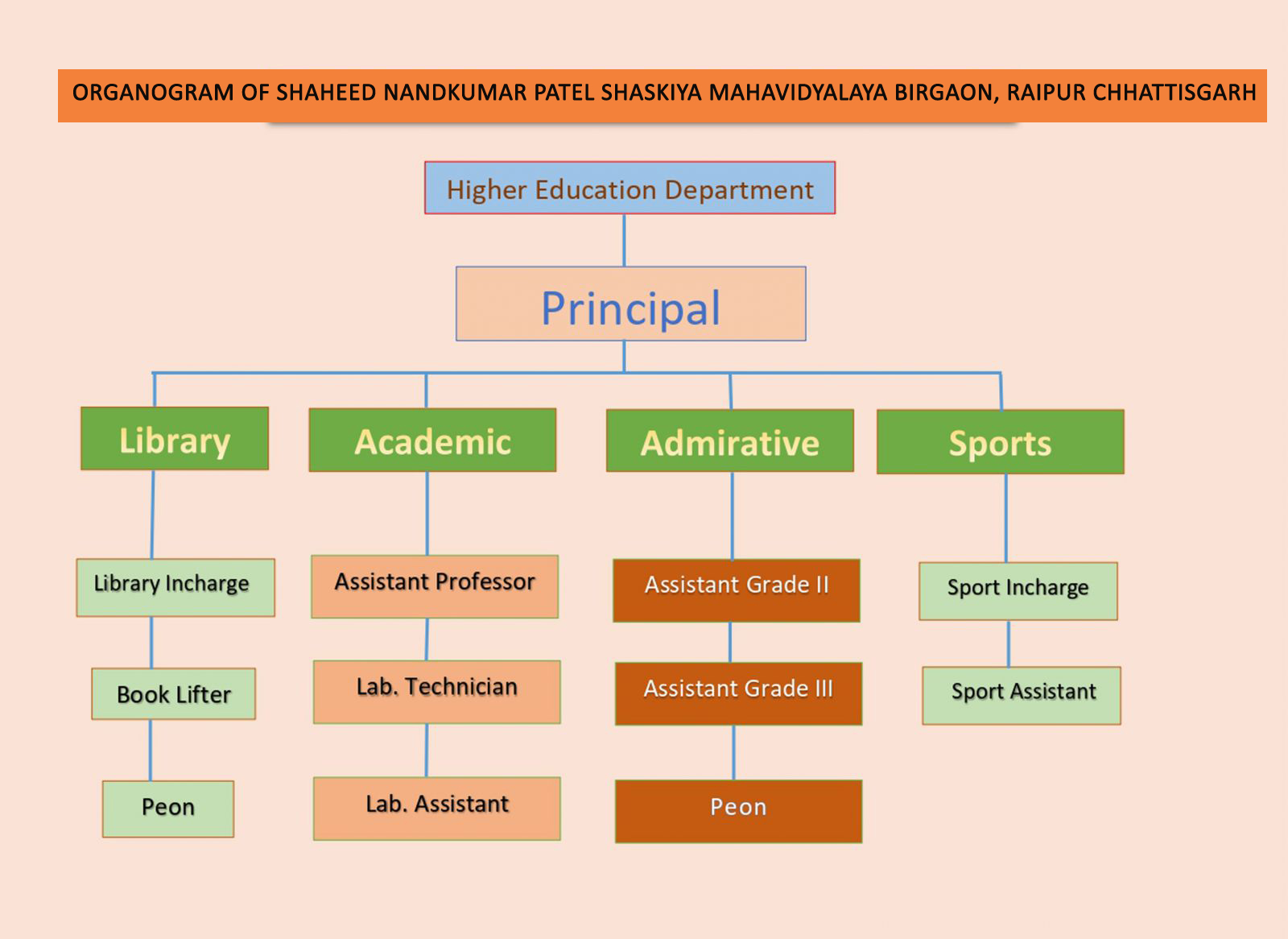 Organogram